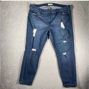 Molly & Isadora Distressed Dark Washed Jeans | SZ 18W